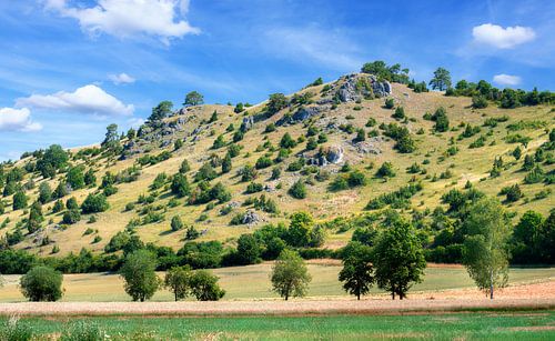La réserve naturelle des coteaux secs près de Dollnstein