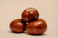 4 wilde kastanjes