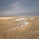 Sinuous by Ellen Borggreve thumbnail