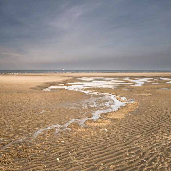 Sinuous by Ellen Borggreve
