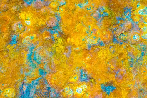 Vincent am Blåvand Strand