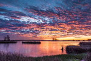 Guten Morgen Niederlande