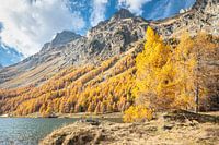 Herfst in de Zwitserse Alpen
