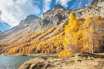 Herfst in de Zwitserse Alpen van Menno van der Haven