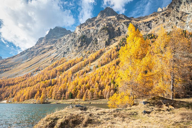 Autumn in the Swiss Alps by Menno van der Haven