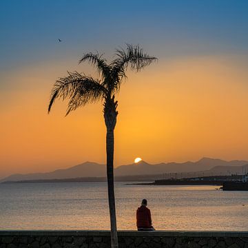 Zonsondergang Lanzarote onder een palmboom van Harrie Muis