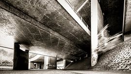 Diemen sur Maarten Drupsteen