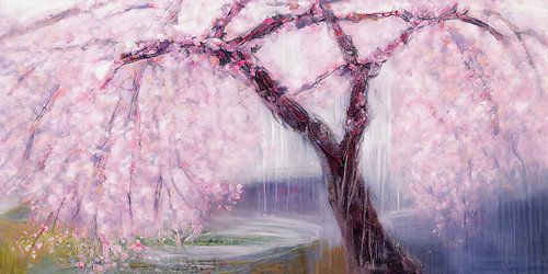 Japanese cherry blossom in bloom