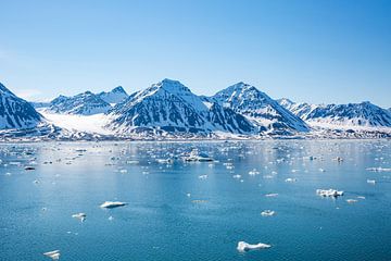 Spitsbergen - Spitsbergen - Noordpoolgebied van Gerald Lechner