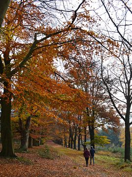 Herfstwandeling van Eline