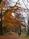 Herfstwandeling van Eline thumbnail