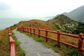 Hong Kong Lantau van Richard Wareham