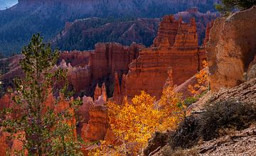 Herbst im Bryce-Canyon-Nationalpark, Vereinigte Staaten