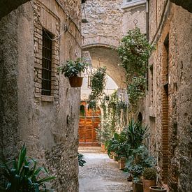 Italienische Straße mit vielen Pflanzen | Umbrien I Italien | von Marika Huisman fotografie