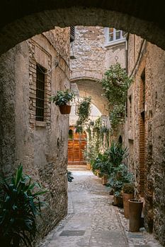 Italian street with lots of plants | Umbria I Italy |.