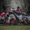 Rugby  "The Scrum" van Tejo Coen