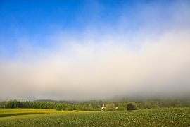 Sommerlandschaft beim Hofgut Dauenberg mit Kapelle und sich auflösendem Nebel - Eigeltingen im Hegau - Landkreis Konstanz von BlattArt - Christine Horn