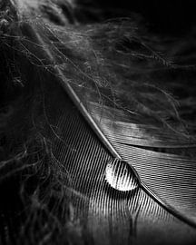 Waterdrop van Thomas Jansen