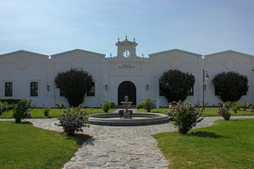 Argentinian winery