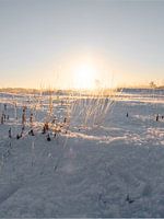 ambiance hivernale