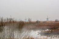 Kinderdijk met de windmolens in de mist. van Brian Morgan thumbnail