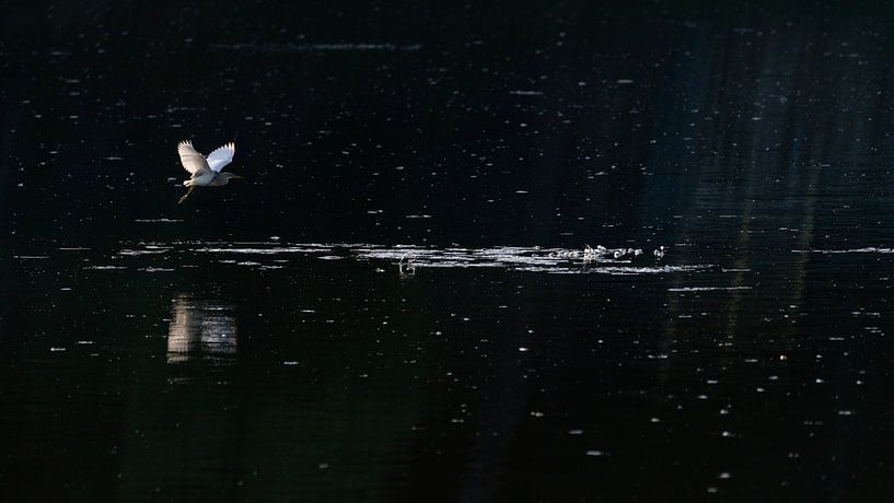 Auf der Jagd von Anges van der Logt