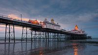 Eastbourne Pier, East Sussex, England von Henk Meijer Photography Miniaturansicht