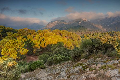 landschap van bergen in het zuiden van Spanje waar de laagstaande zon op schijnt
