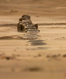 Pfosten am Strand von Pauline Paul