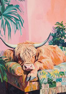 Highland Cow auf dem Sofa