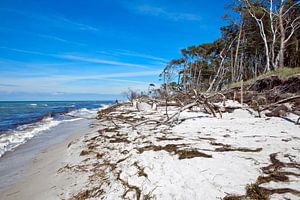Darß - Weststrand, Ostsee (Mecklenburg-Vorpommern)