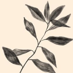 Botanisch abstract#2