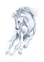 Cheval courant abstrait