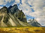 Woeste bergen in een ongerept landschap, IJsland van Rietje Bulthuis thumbnail
