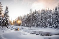 Fins Lapland