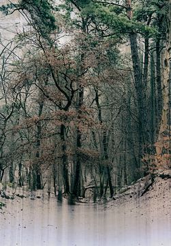 Wolfhezerheide part 162 by Tania Perneel