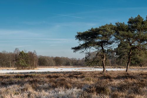 Egelmeer, winterlandschap in Veenendaal