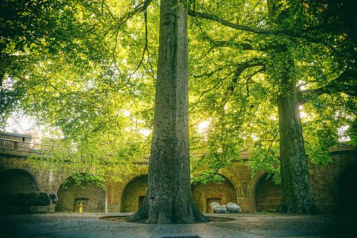 Leiden op zijn mooist!