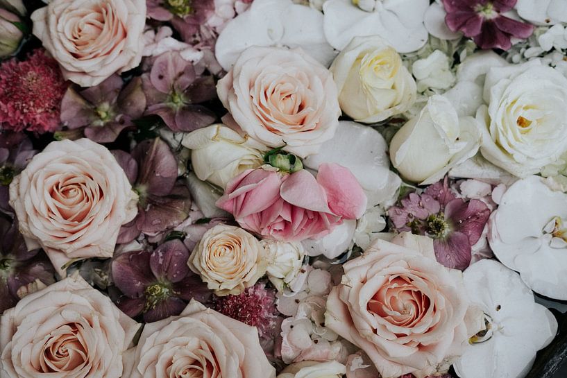 A bouquet of pink roses in the streets of London | floral photography art print by AIM52 Shop