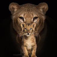 Mère avec enfant, lions