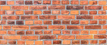 Red old brick wall background texture, panorama by Alex Winter