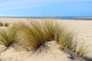 Young dunes on empty beaches in spring 2020 by John Duurkoop