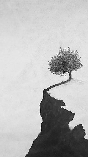 Olive tree on rock in black and white
