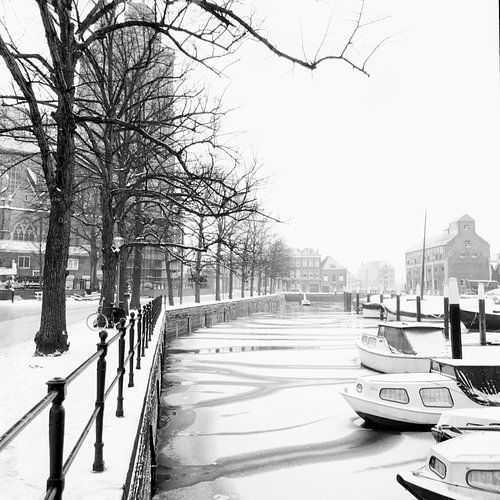 Achter de Grote Krek van Dordrecht