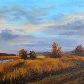 Gouden velden van Stephanie van der Klooster