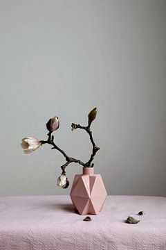 Stilleven van magnolia tak op roze vaasje van Lilian Bisschop