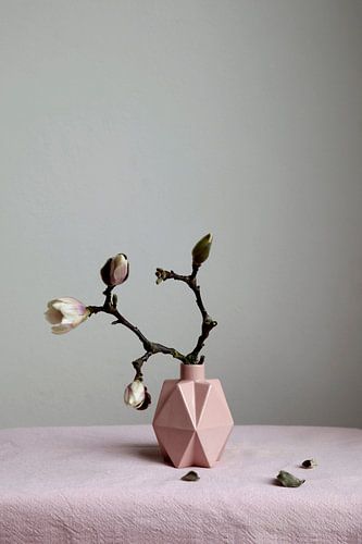 Nature morte d'une branche de magnolia sur un vase rose
