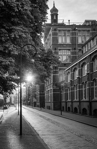 Ezelsveldlaan, Delft