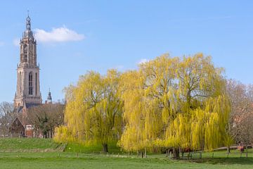 Rhenen, ville et municipalité de la province néerlandaise d'Utrecht