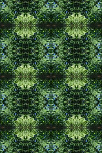 Reflection of fern, water and symmetry 1